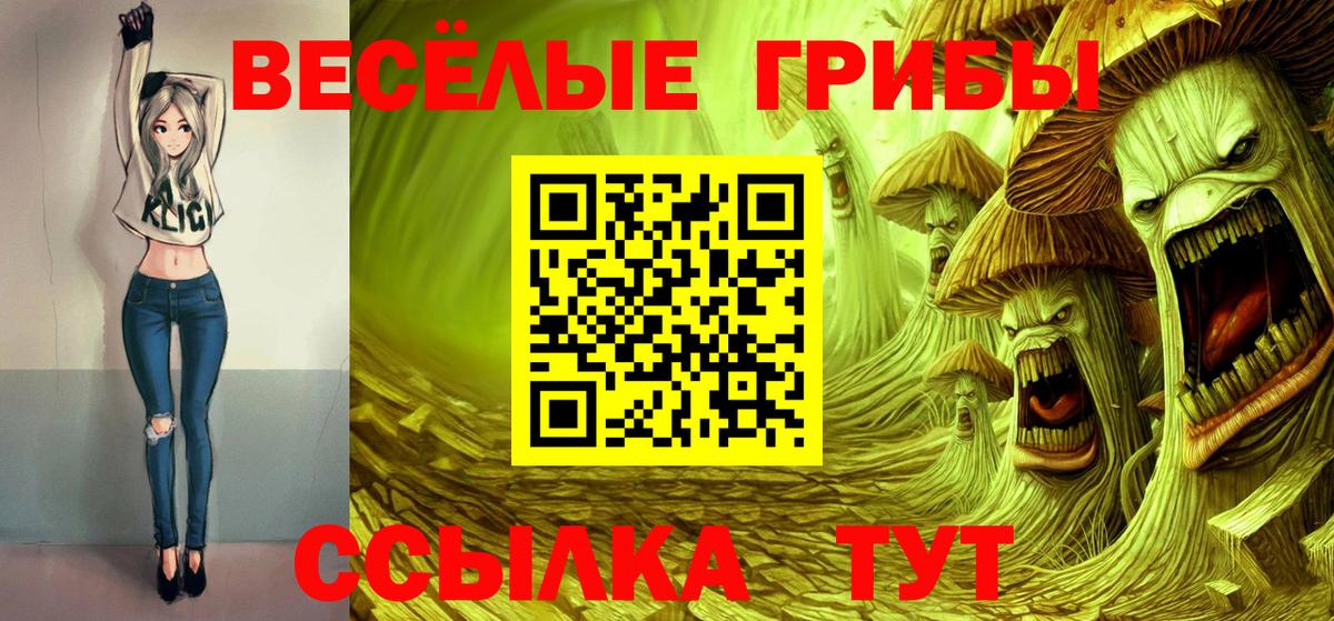 Галлюциногенные грибы Magic Shrooms Курган