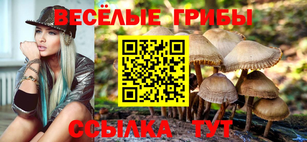 Псилоцибиновые грибы Psilocybe  Псилоцибиновые грибы Psilocybine cubensis  Курган  Вход с VPN 